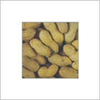 Indian Groundnuts