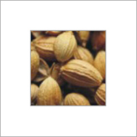 Whole Coriander Seeds