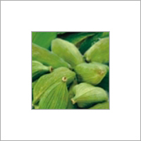 Green Cardamom