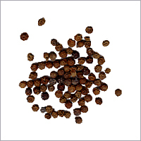 Black Pepper