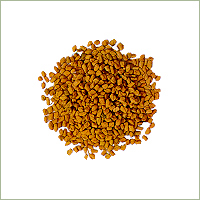 Fenugreek