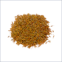 Caraway Seed