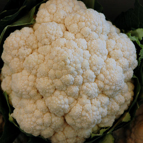 Fresh Cauliflower