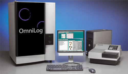 Microbial identification