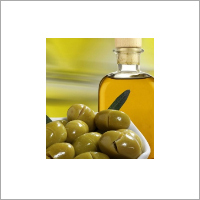 Olive Oil