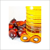 Palm Oil