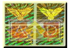 Flip Flop Hologram Sticker