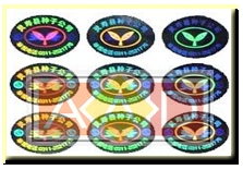 Flip - Flop Hologram