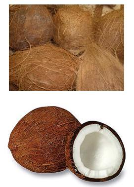 Fresh Coconut