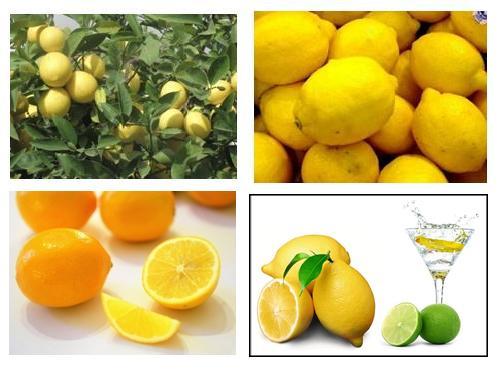 Lemon