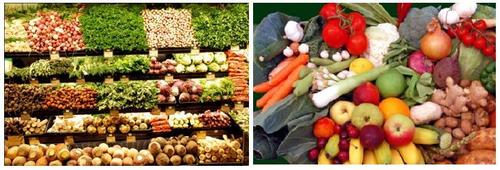 Fresh Vegetables