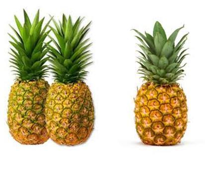 Fresh Pine Apple