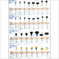 Horse Hair Brushes