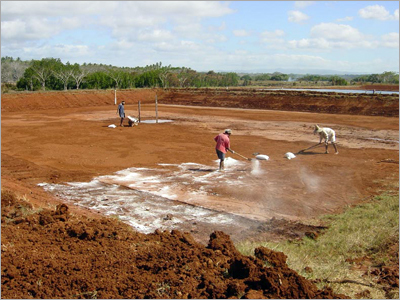 Prawn Hatchery