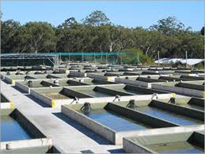 Pisciculture