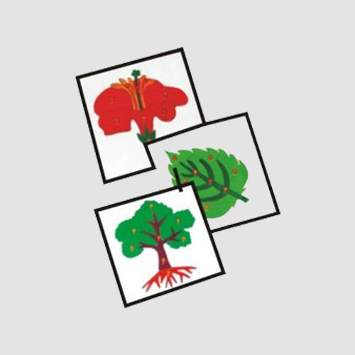 Botany Puzzles
