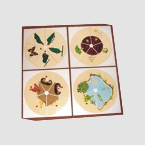 Evaluation Life Story Of Tree