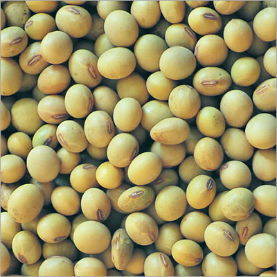 Whole Soybeans