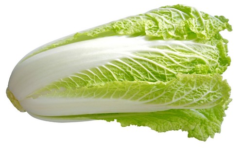 Chinese Cabbage 