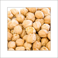 Organic Chickpeas