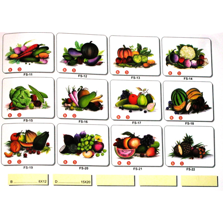 Fruit Tile Transfers