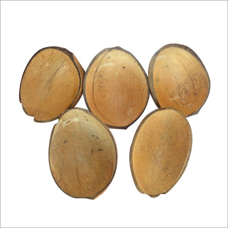 Coconut Shell Products