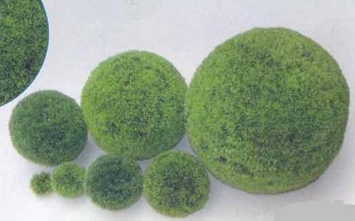 MPS 2866 - 14CM (GRASS BALL)