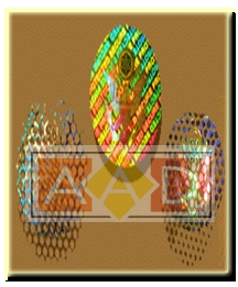 Holographic wads