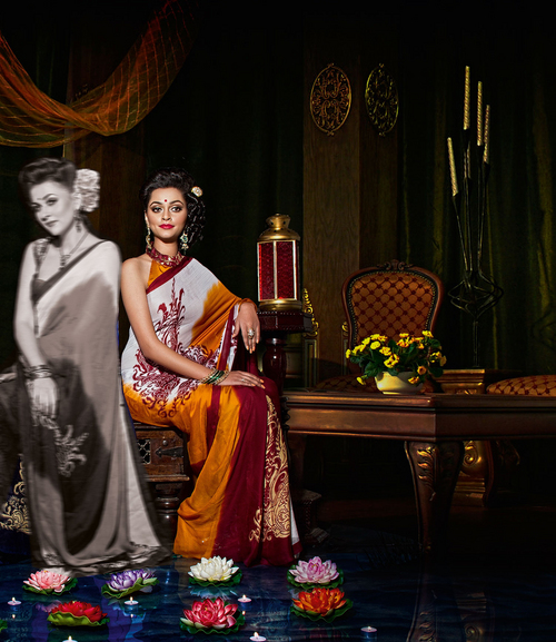Exclusive Sarees