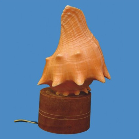 Red Mulli Shell Lamp