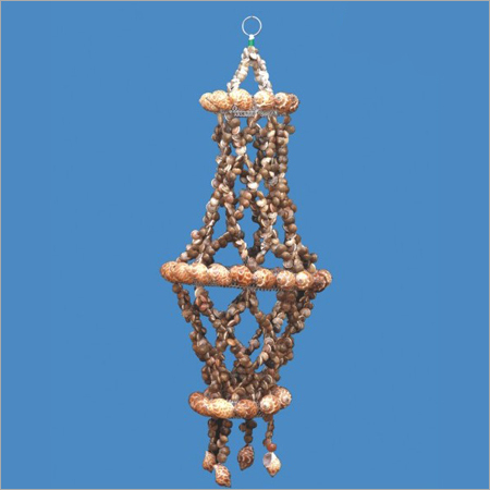 Button Shell Lamp Shade