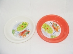 Plastic Plate
