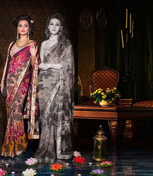 Exclusive Sarees