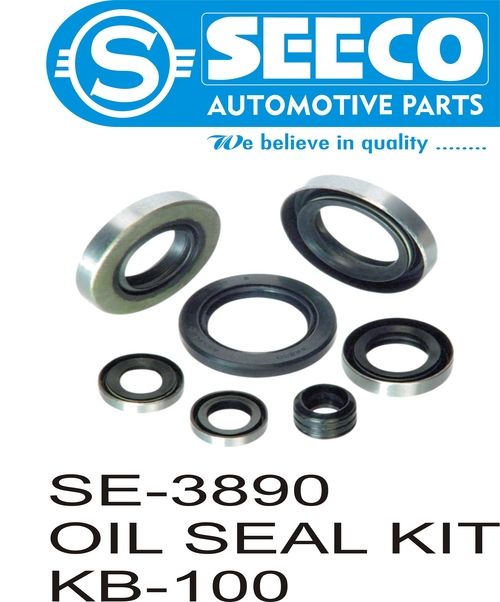 OIL SEAL KIT