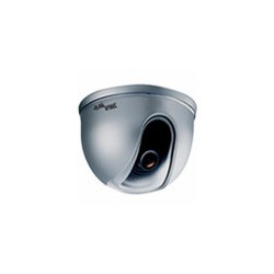 Color Indoor Camera