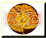 Hologram Stereogram