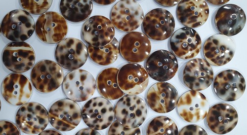 Tiger Shell Buttons