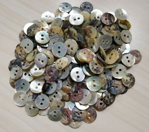 Natural Akoya Shell Buttons