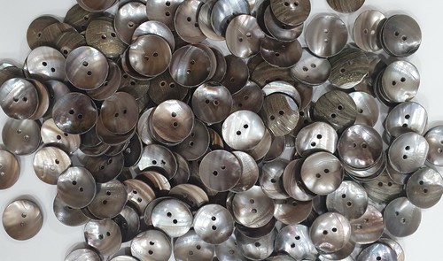 Indian River Shell Buttons