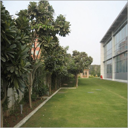 Horticulture Services