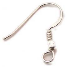 Earwire