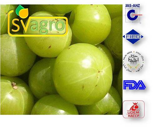Amla Extract
