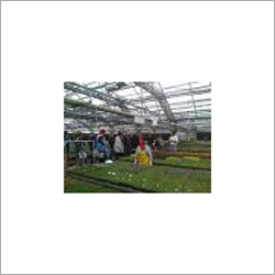 Commercial Landscaping Services