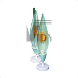The Model Of Wheat Flower