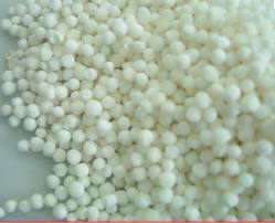 Sago Seeds (Sabudana)