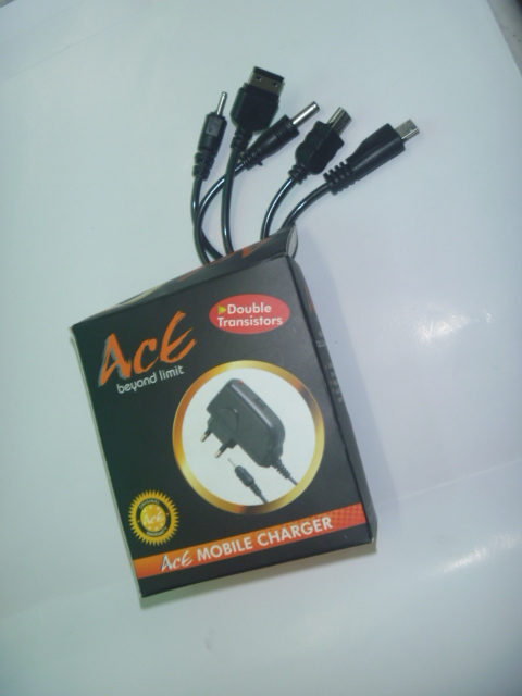 ACE Multi Charger