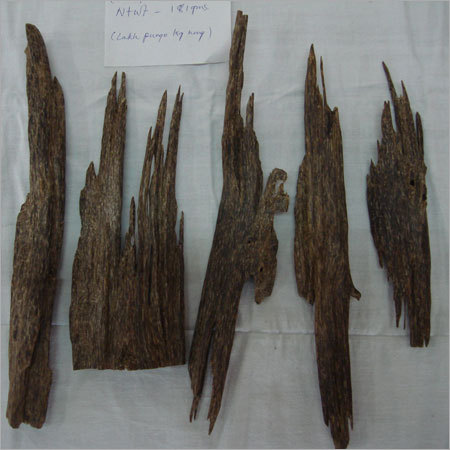 Agarwood