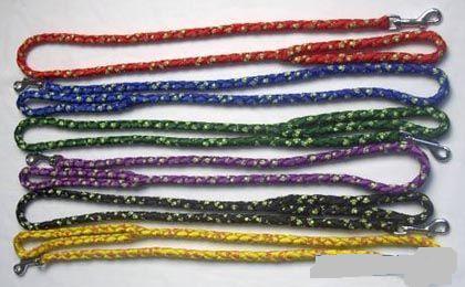 022013 Dogs Leash & Collars