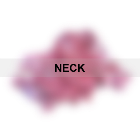Neck