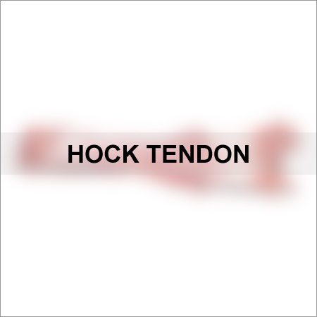 Hock Tendon